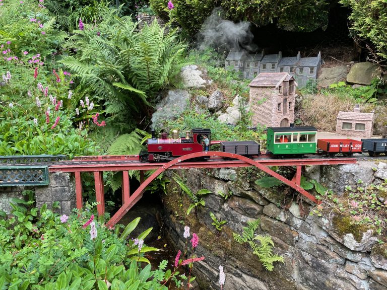 Hillside and Big Trees