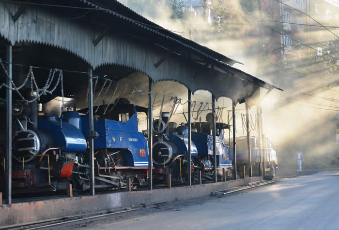 Late evening outside Darjeeling shed