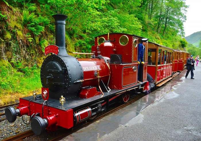 "Driver Experience" Tallylyn Railway