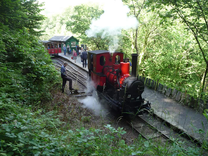 Douglas running round at Nant Gwernol