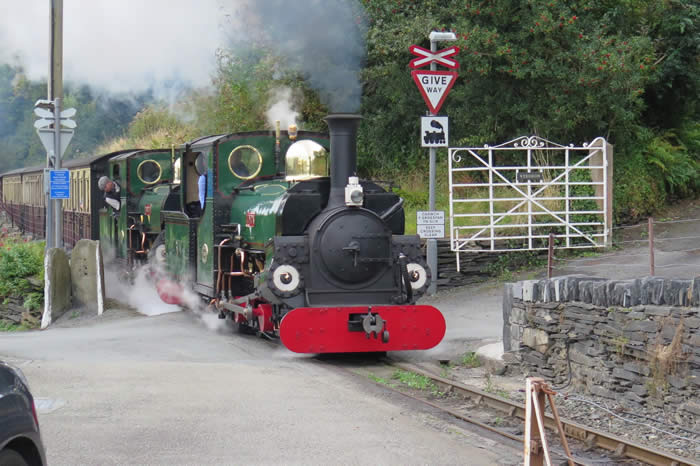 Linda and Blanche double head across Penrhyn Bakehouse Crossing