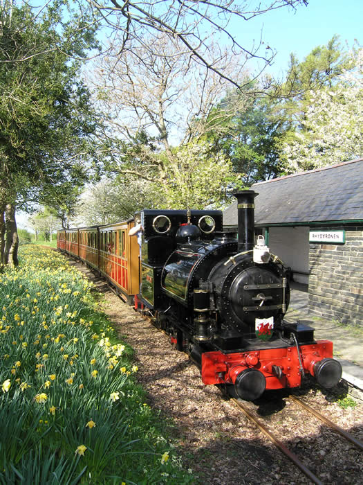 Talyllyn spring sunshine