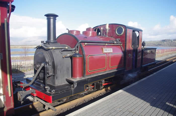 Prince enjoying the winter sunshine