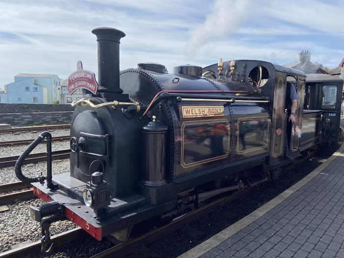 Welsh Pony at Harbour Station
