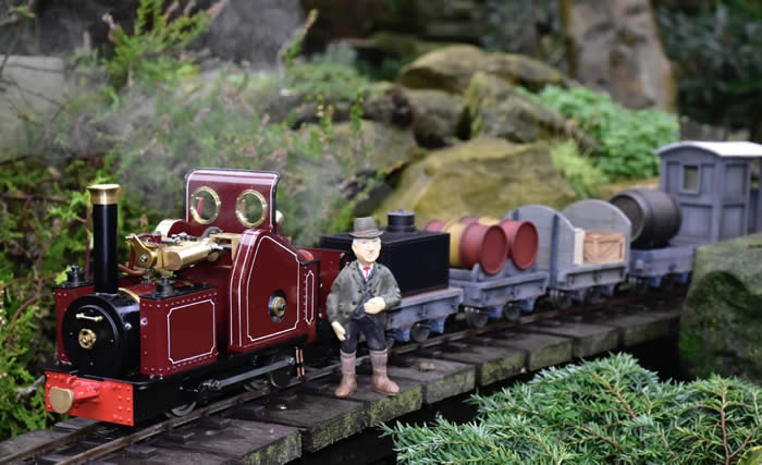 A Victorian Lewin Loco
