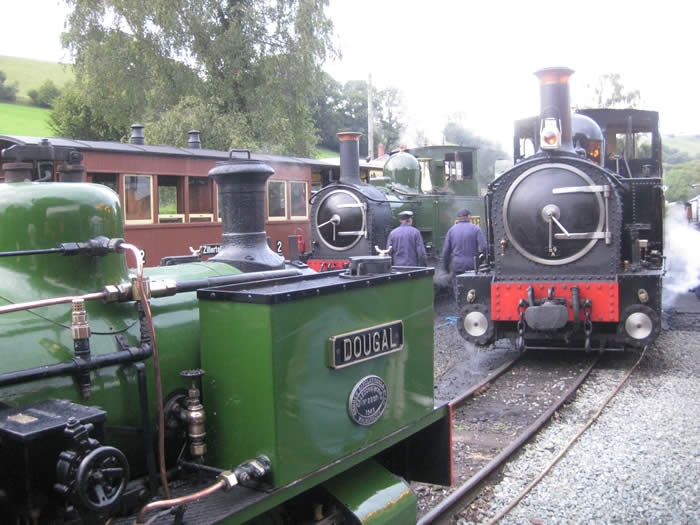 Dougal, Countess and The Earl on shed
