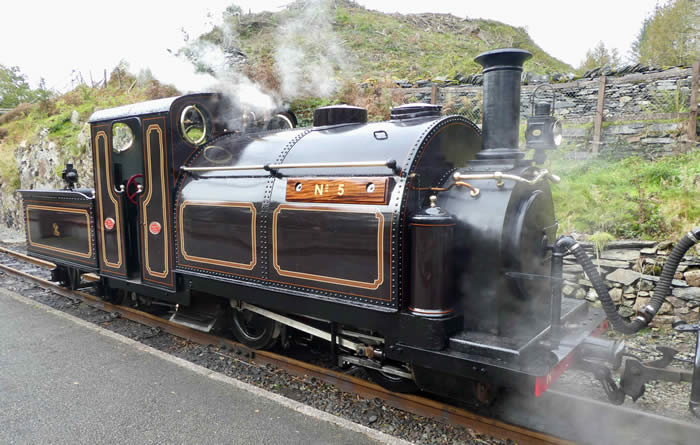 Welsh Pony at Tan-y-Bwlch