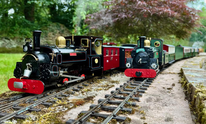 Penrhyn Double at Great Willowgarth