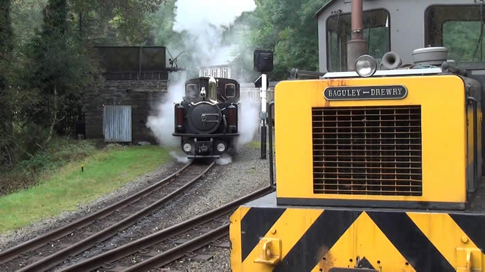A struggling Taliesin at Tan y Bwlch