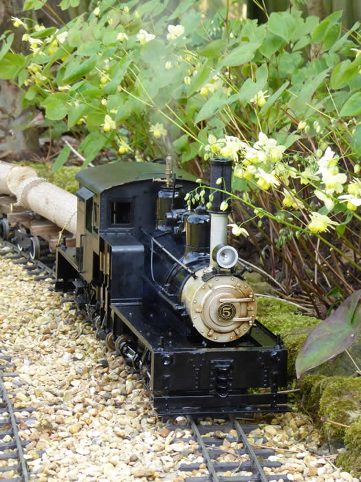 Spring Epimedium and Shay