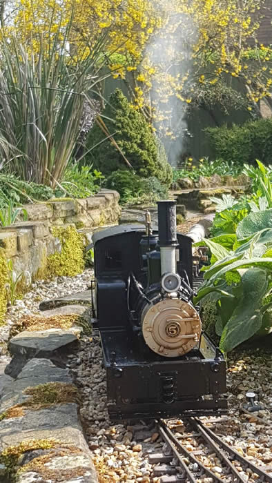 A three cylinder Shay climbing steadily