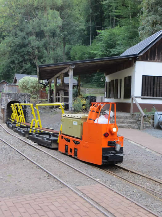 Leeds loco under a mountain