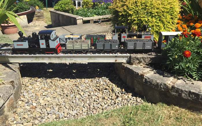 Traveller and Ntinyana pass on Foxhill Light Railway