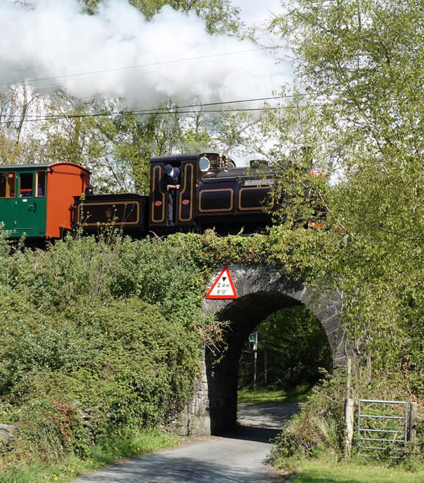 Ty Fry bridge : Welsh Pony