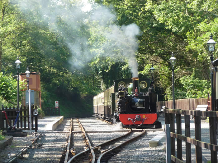 No 8 waiting at Aberffrwd Station