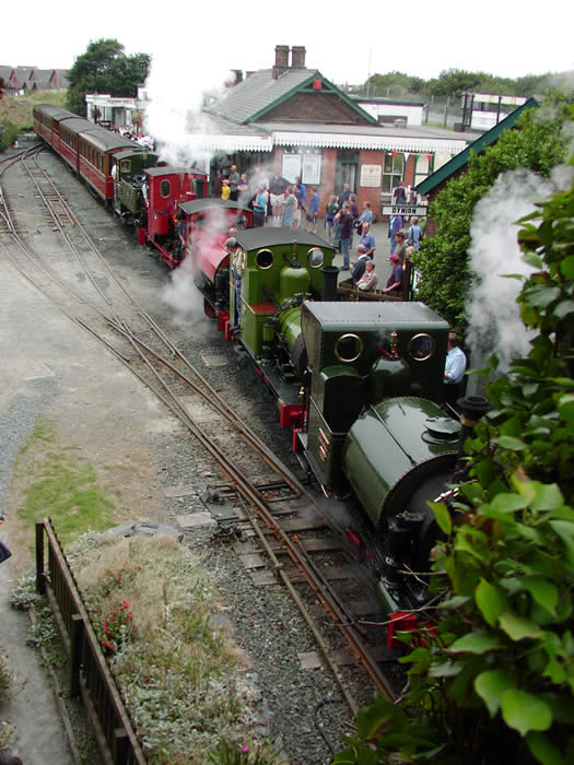 Cavalcade at Tallylyn